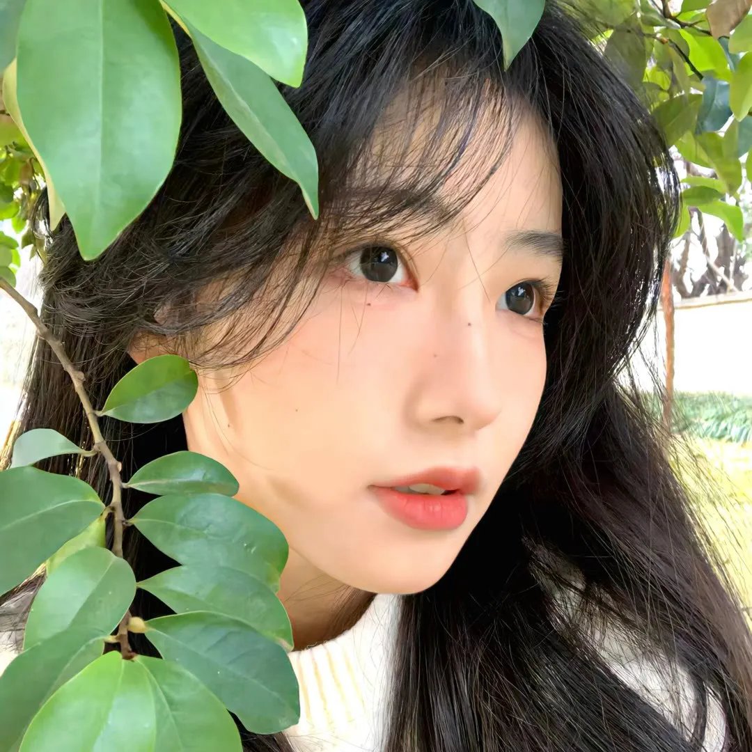 爱丽丝与杰克
